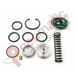 Tamrotor Inlet Valve Repair Kit Replacement - NT1683