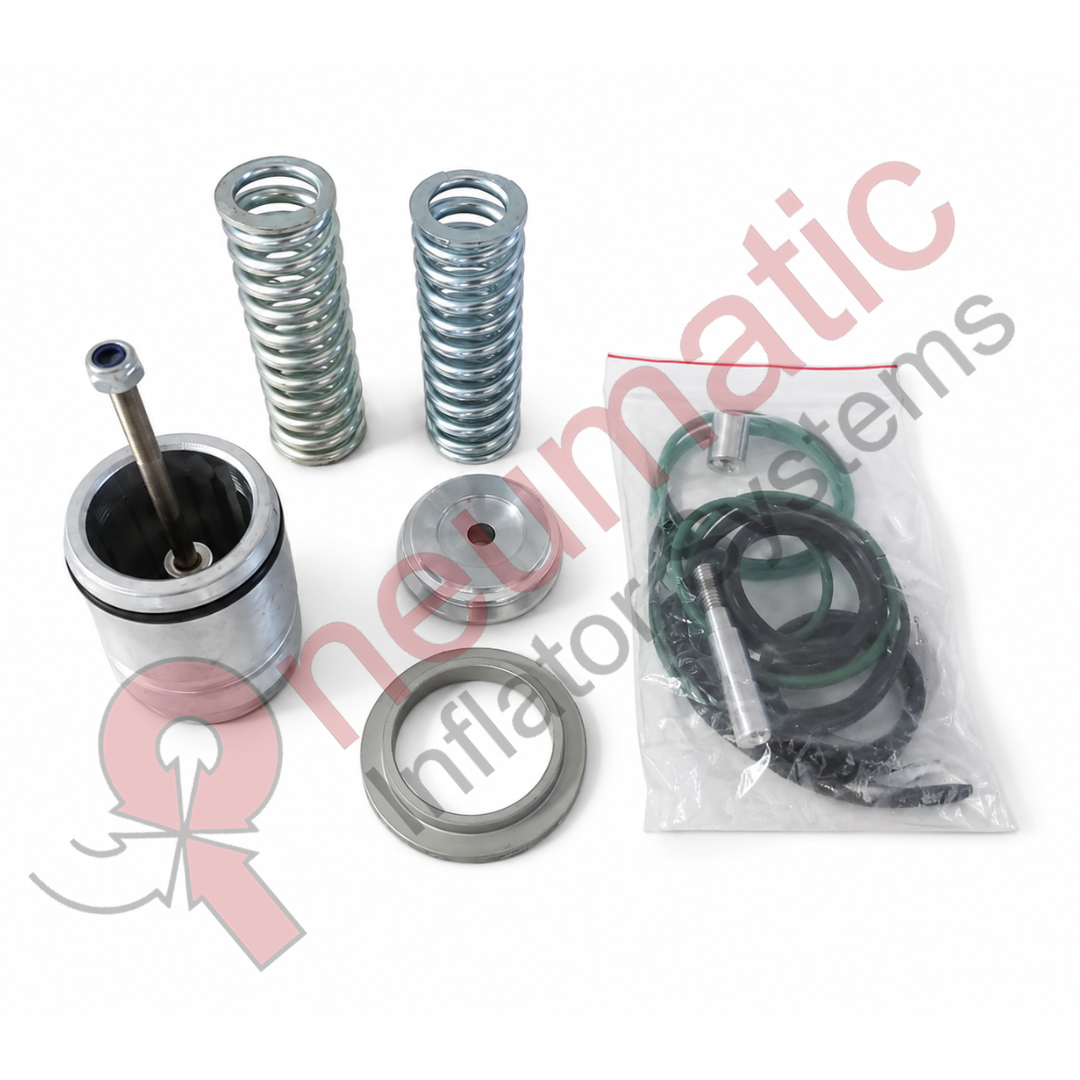 30 (9) Tamrotor Discharge Valve Repair Kit Replacement - NT4948 - Image 1